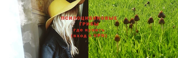 хмурый Киреевск